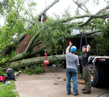 Storm damage tree cleanup