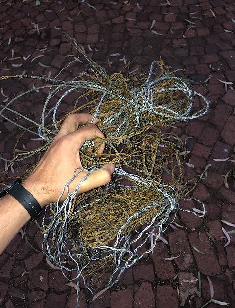 snare removal 2.jpg