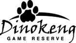 dinokeng-black.png.webp