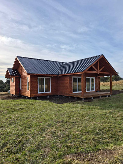 whatsapp_image_2025-04-04_at_17.46.11__2_ (1).jpeg