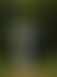 Brotz Family Session