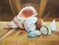 image11