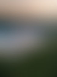 Hrad Červený kámen zpřístupní historickou knihovnu Rudolfa Pálffyho