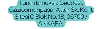 Ankara  (3).png