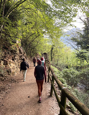 Waldspaziergang in Stille