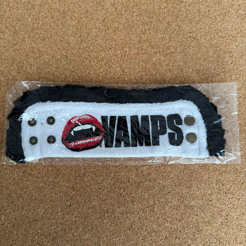 VAMPS Bracelet Wristband