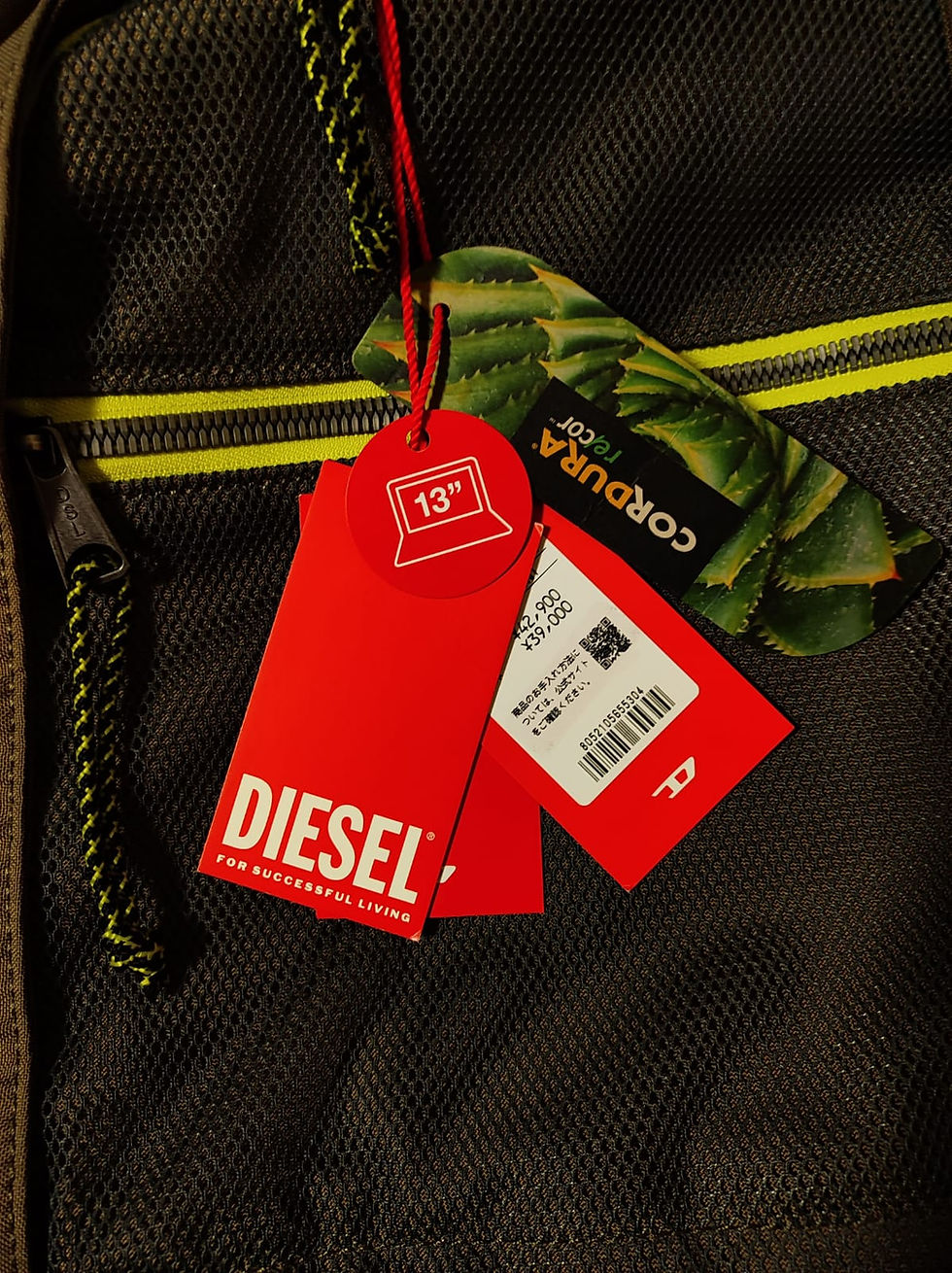 Thumbnail: DIESEL Berlyn Urbn Net Backpack