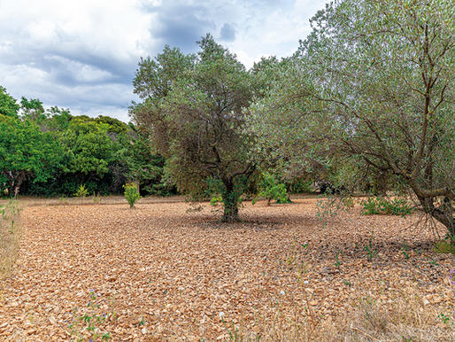Pourquoi vendre son terrain à un promoteur ?