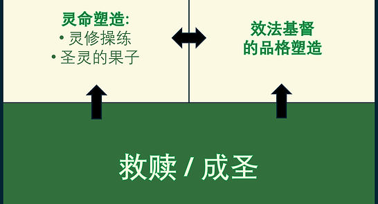 Growth into human flourishing Chinese.jpg