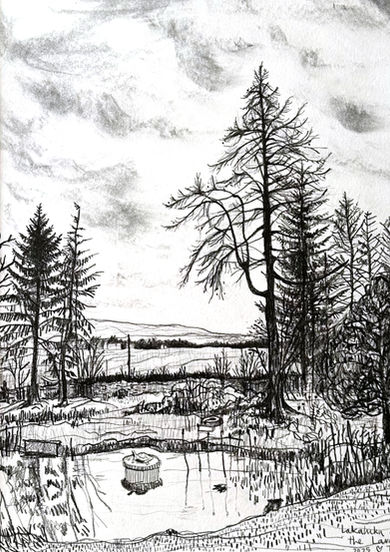 Laluka and the Larch