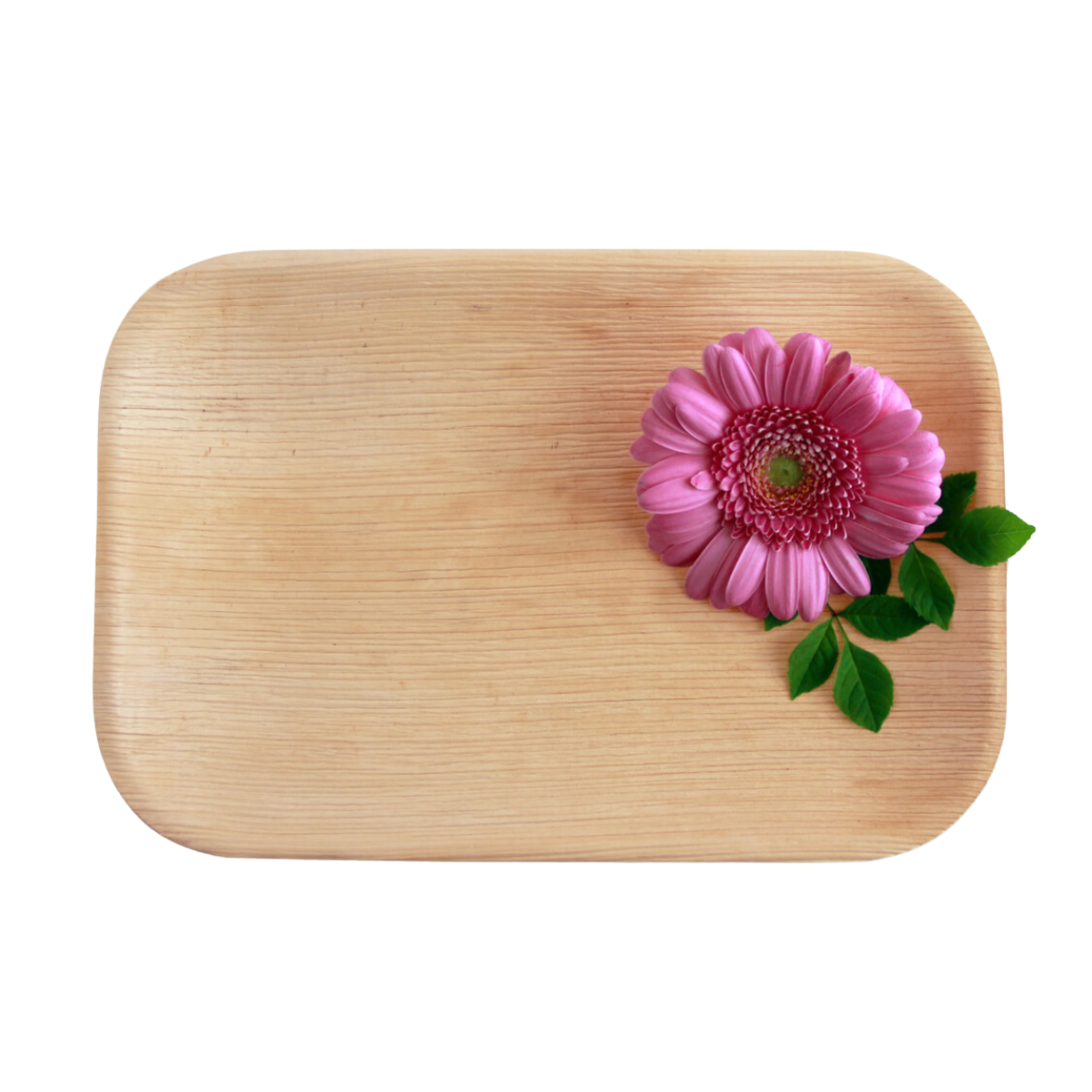 Rectangle Tray 9"x6" Inch