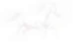 Vector_Smart_Object_e95abbc1-ff42-44a2-907f-78e48605a24a.webp