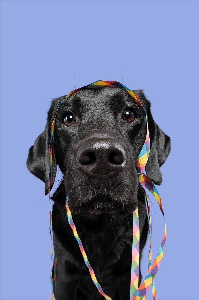 Immagine del redattore: Chiara Azimonti