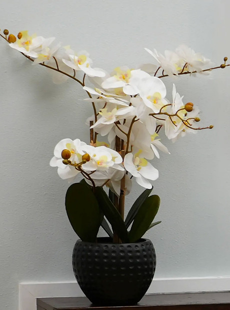 flower.jpg
