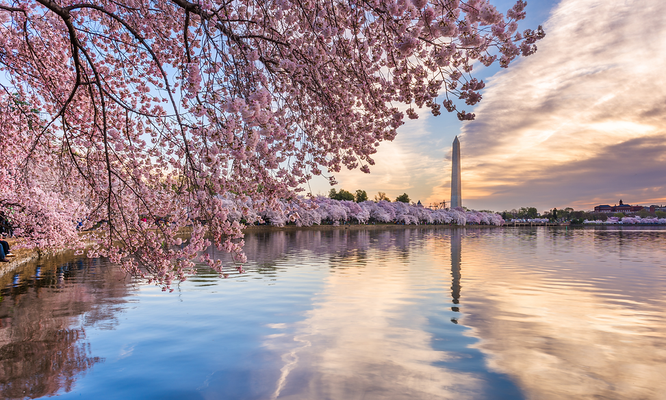 Untitled design - 2026-04-15T161701.392.png