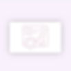 website seo