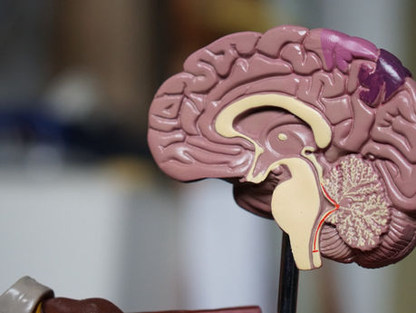 How to "Change the Channel" & Rewire Your Anxious Brain