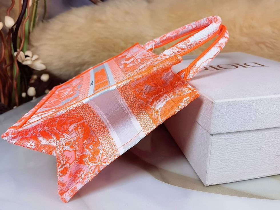 Thumbnail: DIOR BOOK TOTE SMALL