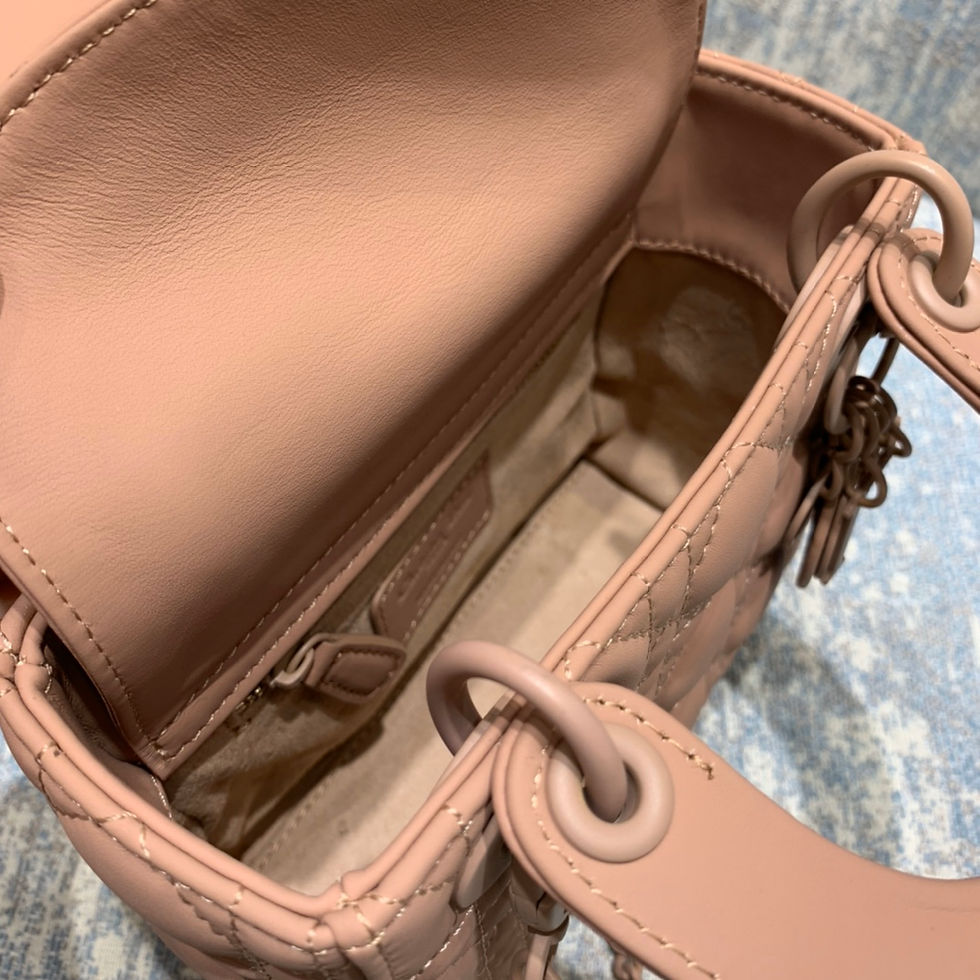 Thumbnail: LADY DIOR MINI