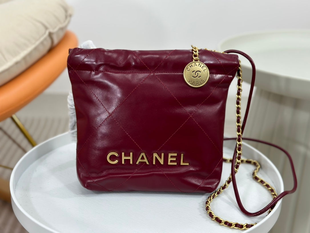 CHANEL 22 HOBO COIN MINI BAG