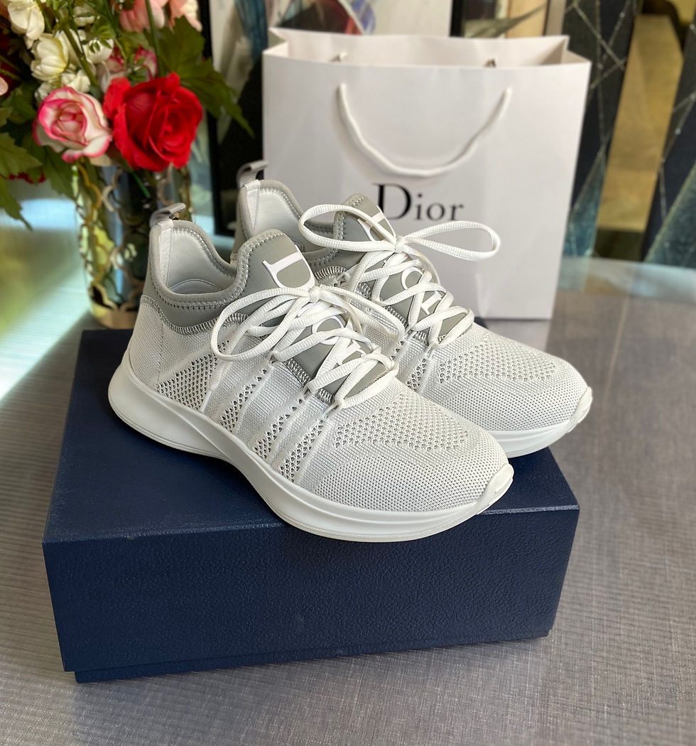WALK N DIOR SNEAKERS