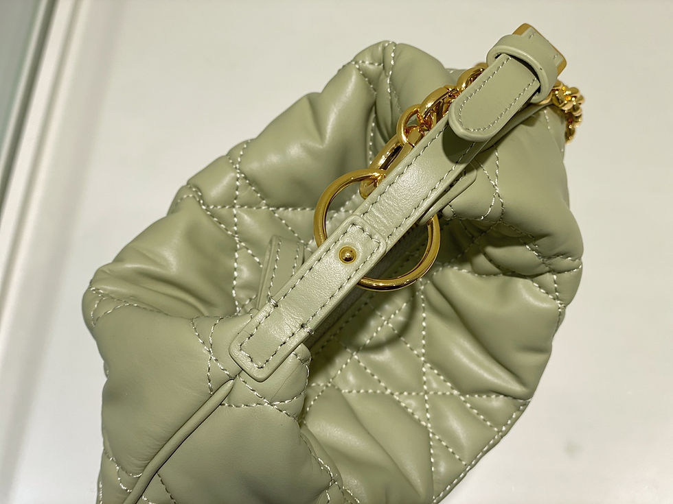 Thumbnail: DIOR CARO TULIP BAG