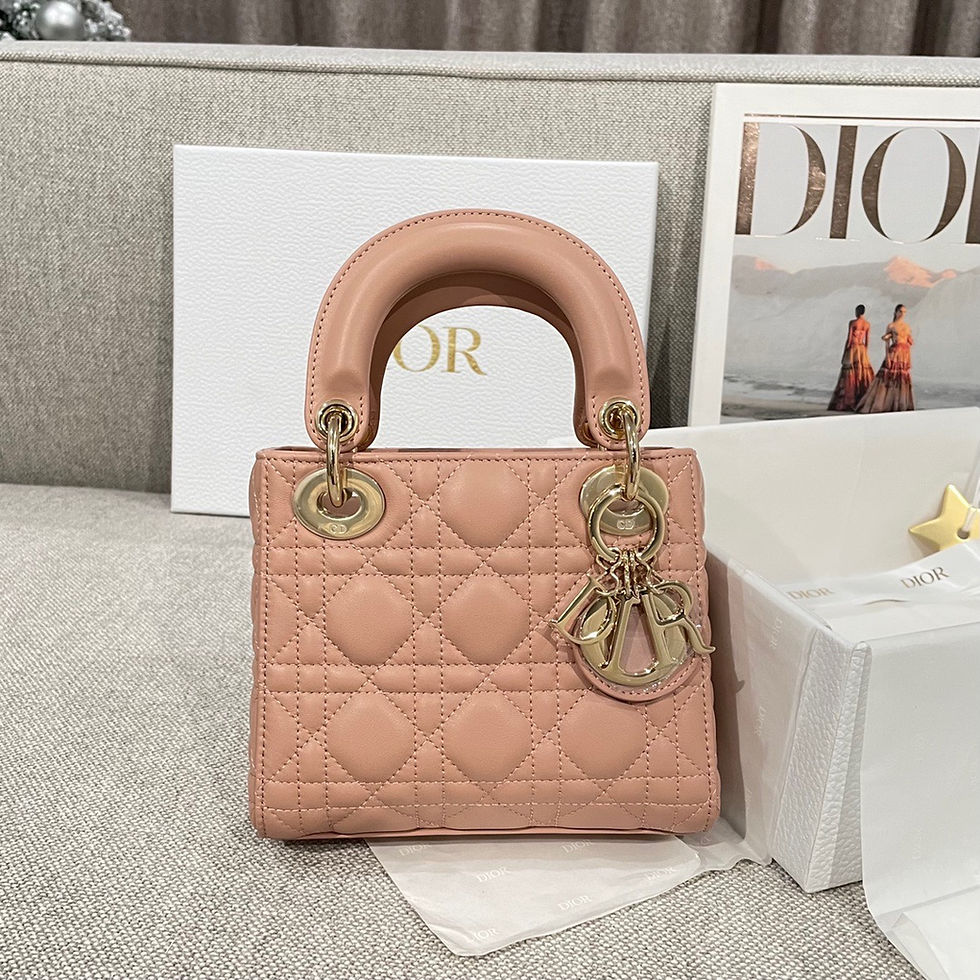 LADY DIOR MINI ULTIMATE BAG