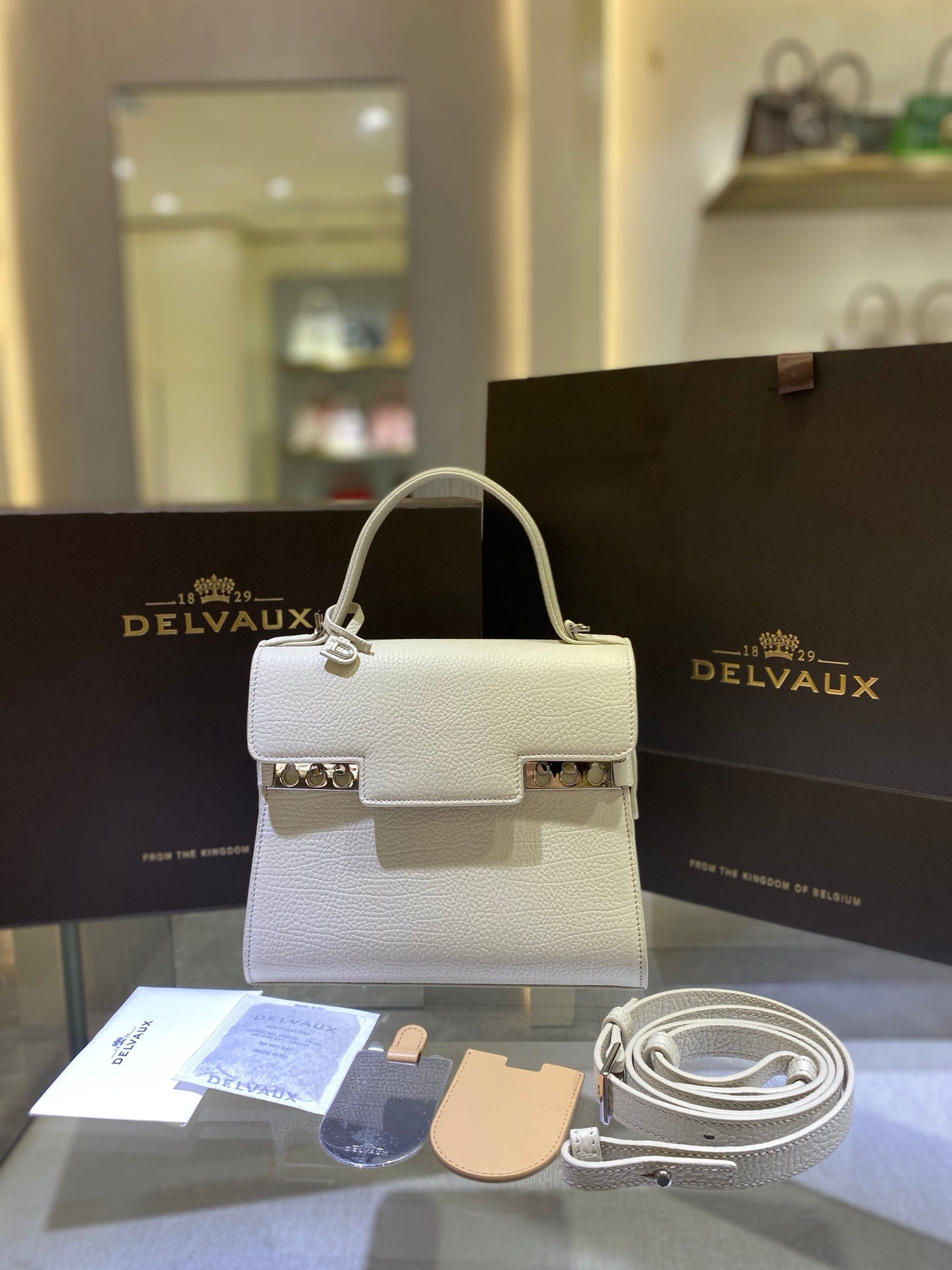 DELVAUX TEMPETE PM ALPINA CALF BAG