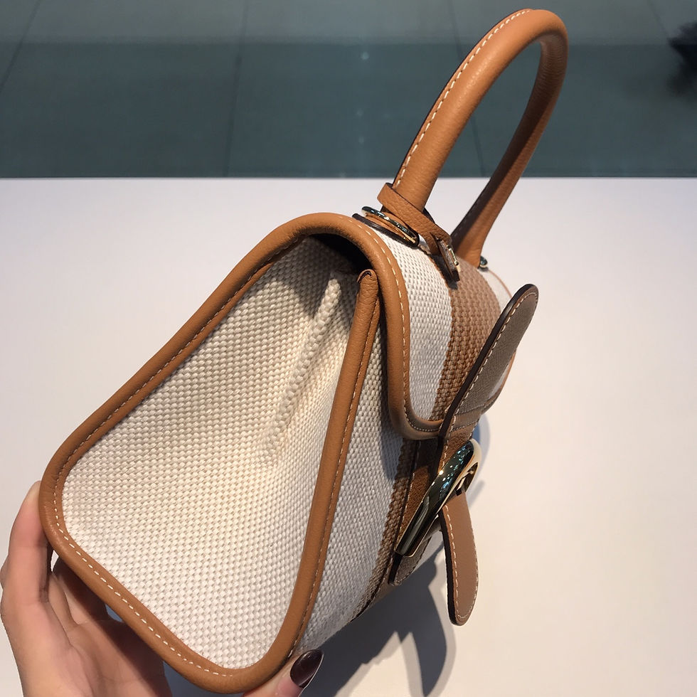 Thumbnail: DELVAUX BRILLANT MINI BAG RODEO CANVAS 