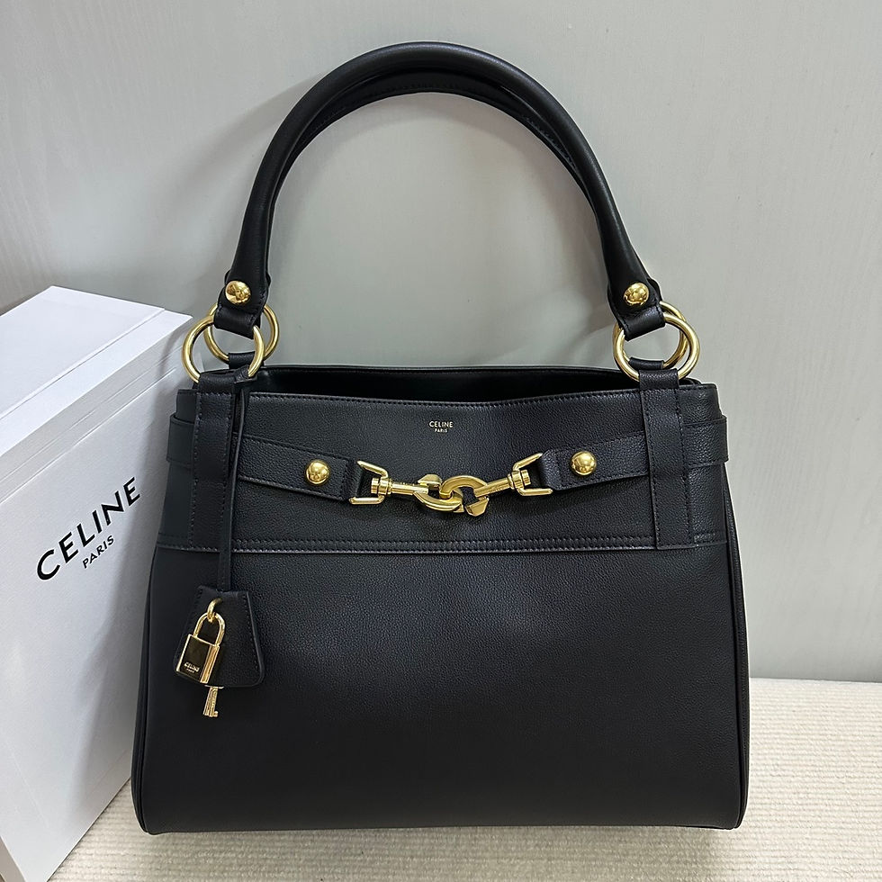 CELINE ANNABEL MEDIUM BAG IN SUPPLE CALFSKIN