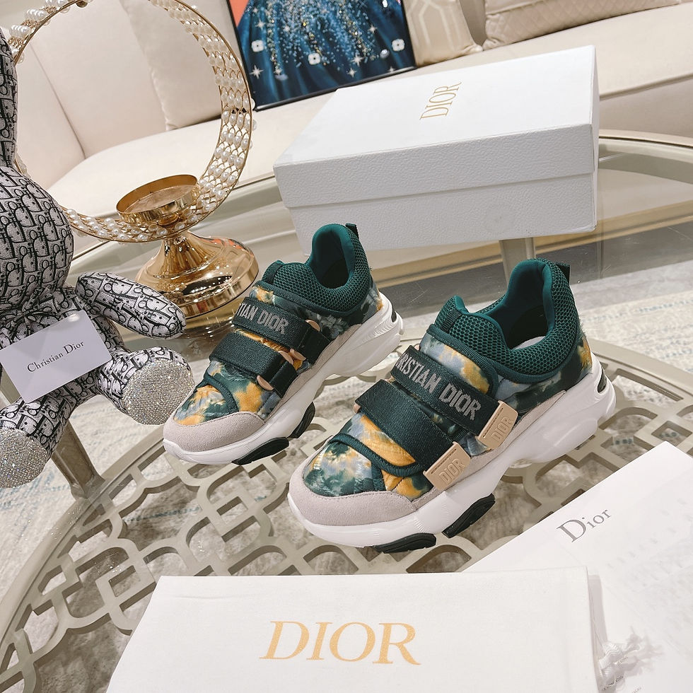 DIOR WANDER SNEAKERS
