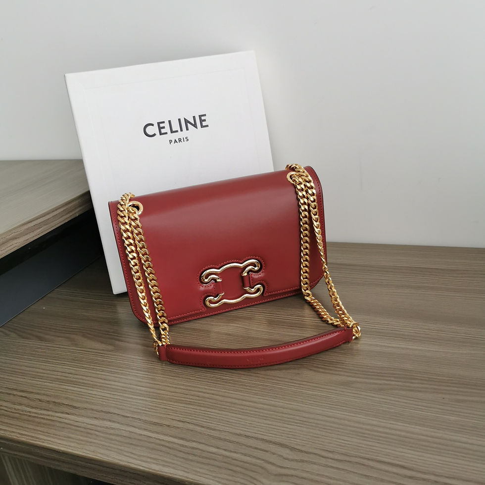 CELINE MEDIUM BAG TRIOMPHE FRAME IN SHINY