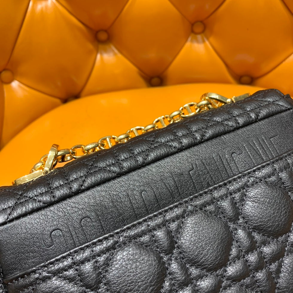 Thumbnail: DIOR CARO MINI BAG