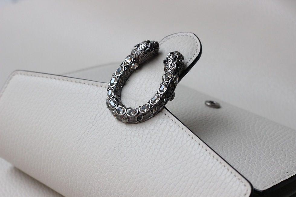 Thumbnail: GUCCI DIONYSUS WOC