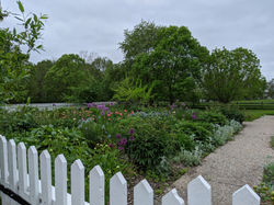 SGKH_flower garden_20200524_13