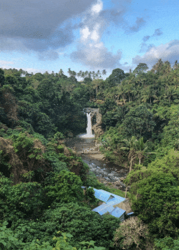 pexels-yaseen-2677214 (1)(1).gif