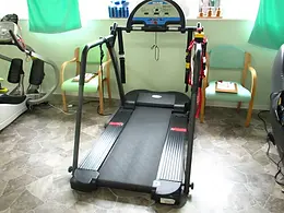 整体治療