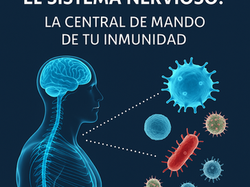 Cómo la Quiropráctica Ayuda a Mejorar el Sistema Inmune ✨🛡️✨