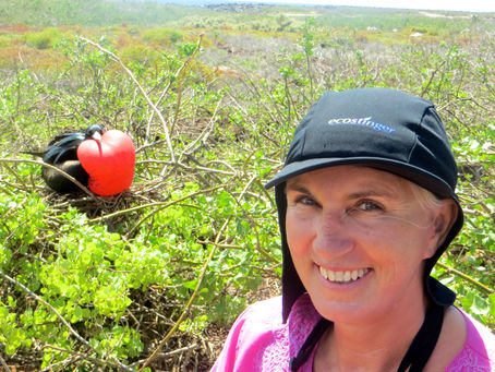 Ecuador And The Galapagos
