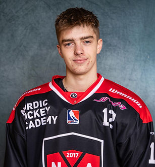 Horsky Game Jersey.jpg