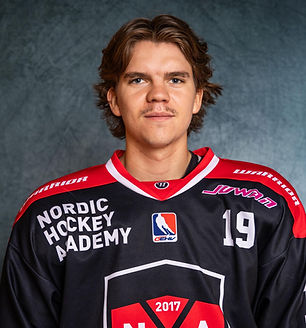 Diske Game Jersey.jpg