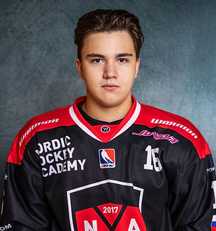Stevic Game Jersey.jpg