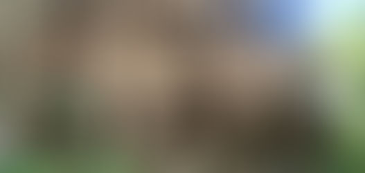 How to Build a Mud House in 2021 ? Making the perfect mud bricks