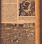 Convocatoria del Frente Nacional de Defensa Proletaria, 22 de diciembre 1935, AÑO: miércoles 3 marzo 1937.jpg