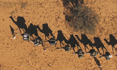hump shadows