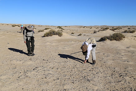 searching for fossils
