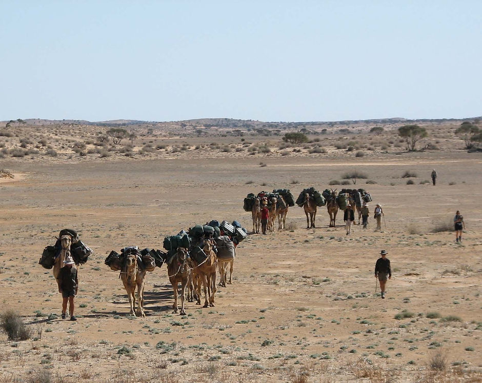 the camel trek on the move