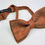 Thumbnail: Bow Tie - Bronze Shimmer