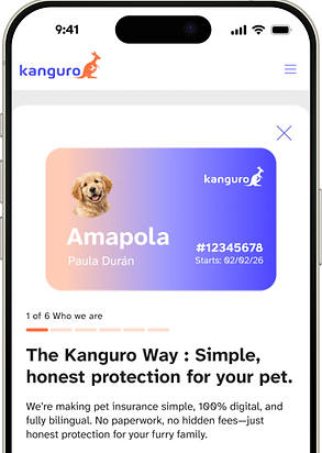 Kanguro Insurance mobile app showing a pet insurance policy dashboard