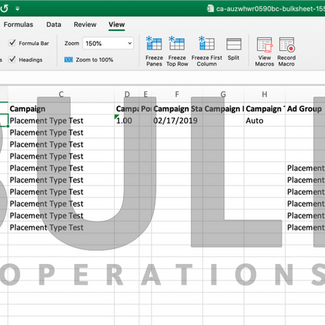 Managing Campaigns Using Excel